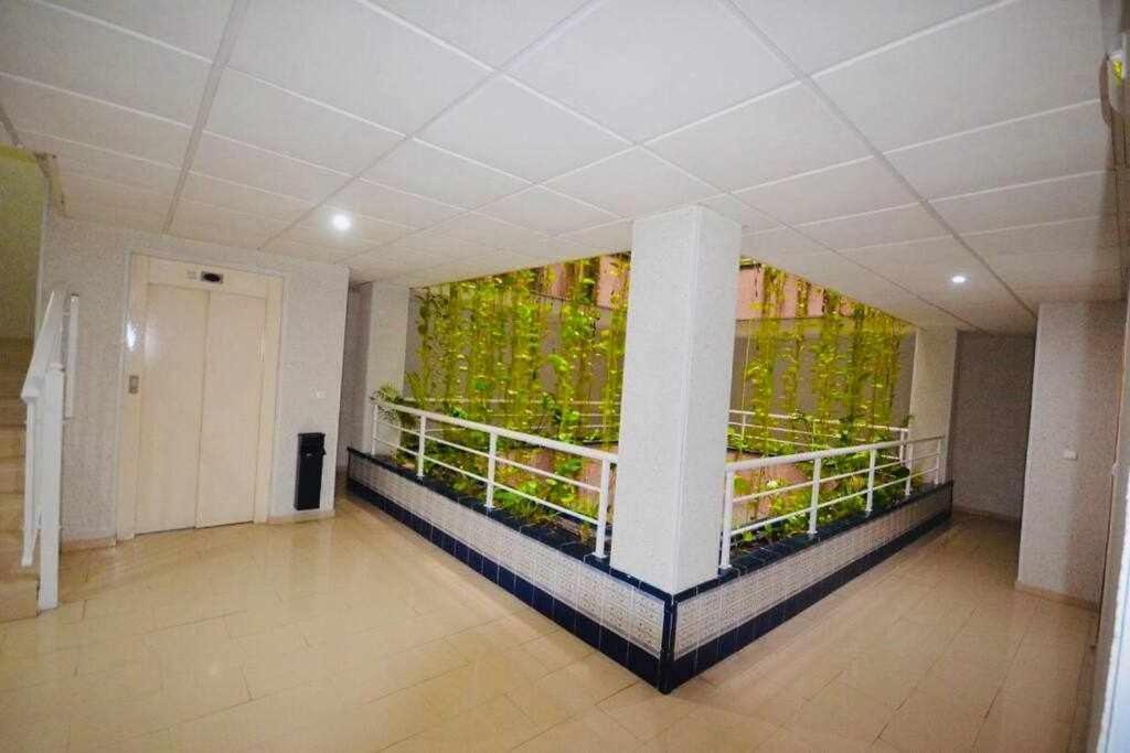 Apartamento Pink Sweet Home Torrevieja Ngoại thất bức ảnh